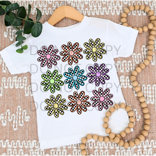 COLORFUL DAISIES