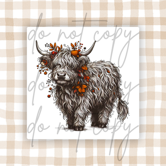 SHAGGY FALL COW